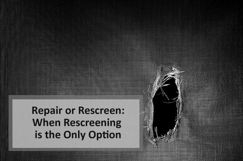 pool enclosure rescreening