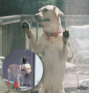 custom-pergola-installation-florida